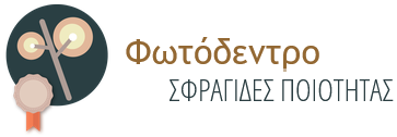 Photodentro Seals