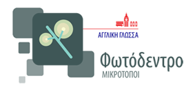 logo photodentro microsites - english
